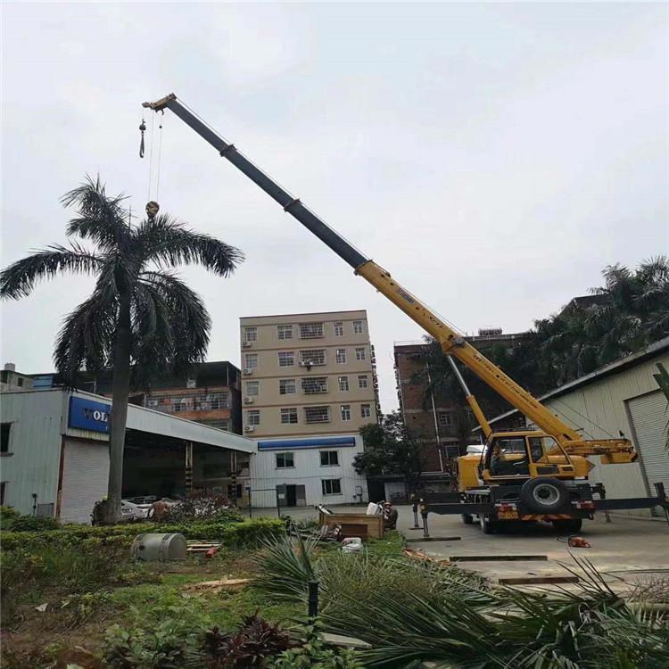 涞水县吊车出租事故案例分析：如何避免设备倾覆风险